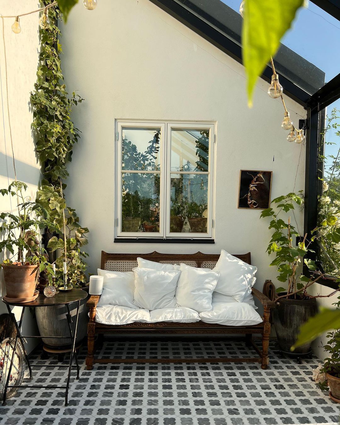 گل و گیاه در تراس