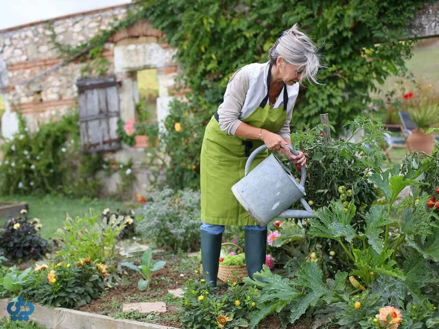 فواید غذای ارگانیک برای سلامتی و محیطزیست