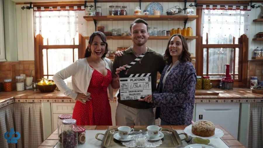 سریال افلاطونی (Platonik)