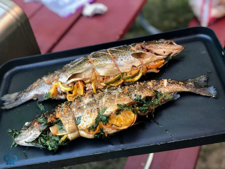 فواید ماهی شکم پر