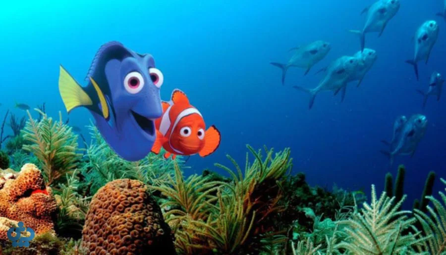 Finding Nemo (در جستجوی نمو)