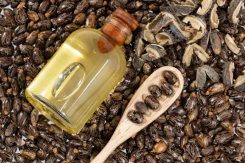 خواص روغن کرچک: فواید برای پوست، مو و سلامتی
