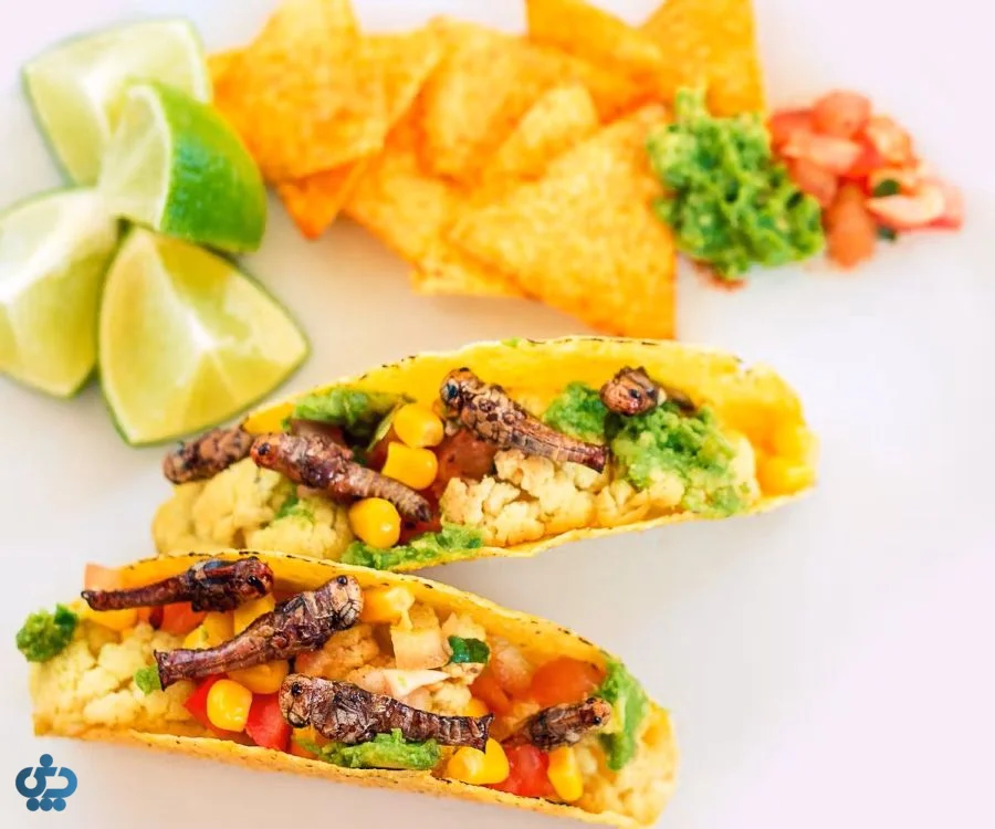 chapulines (ملخهای خوراکی) در تاکو