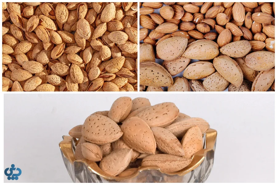 انواع بادام درختی ایرانی
