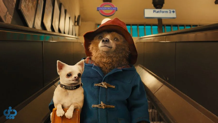 پدینگتون (Paddington - 2014)