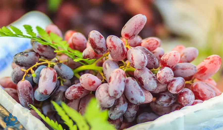 انگور کریمسون (Crimson Seedless)