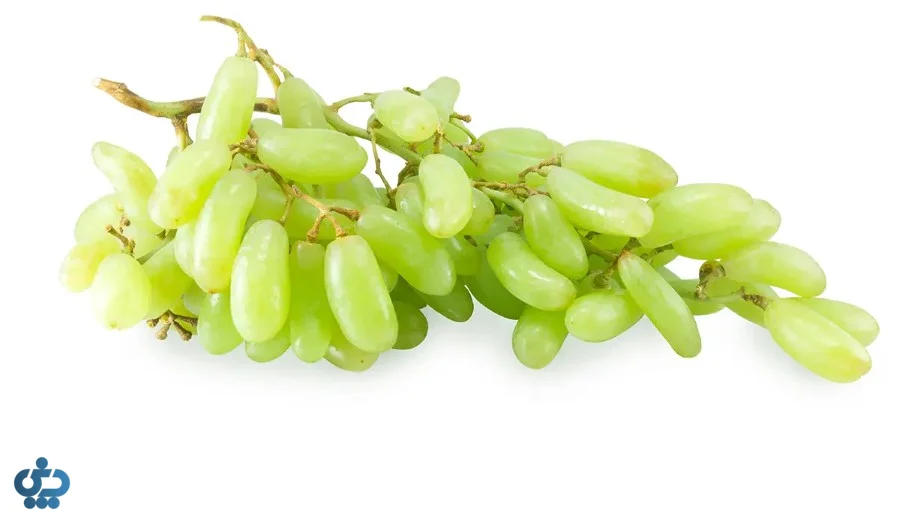 انگور ریش‌بابا 