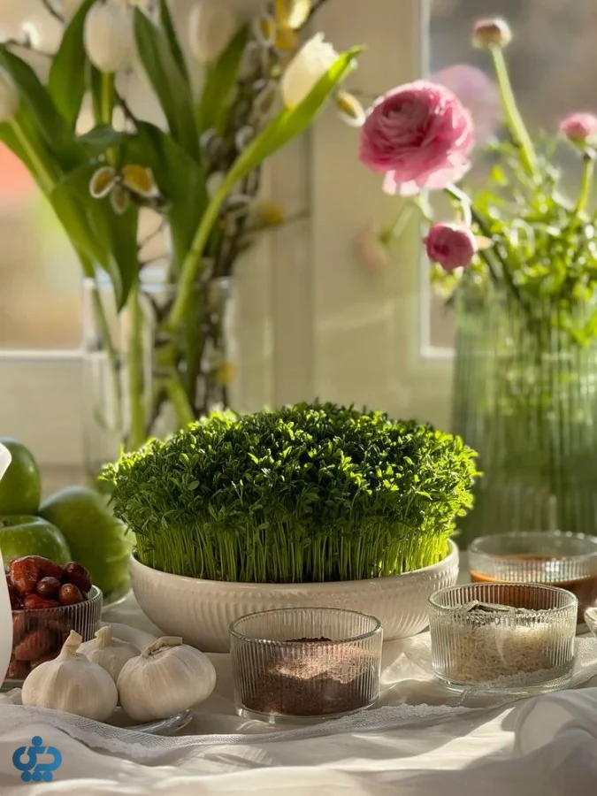 آموزش مرحلهبهمرحله کاشت سبزه