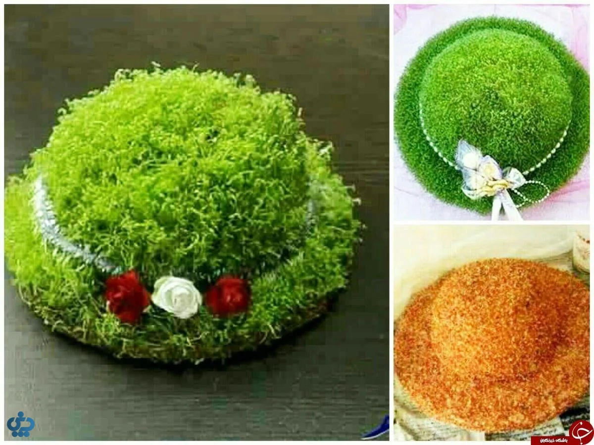 سبزه روی کوزه