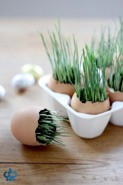 ایدههای خلاقانه برای اجزای هفتسین