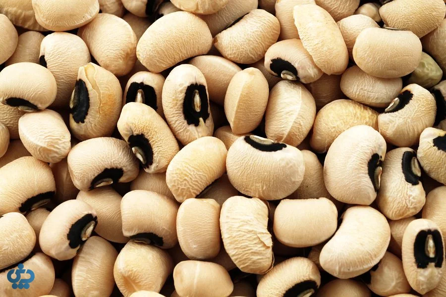 لوبیای چشمبلبلی (Black-eyed Peas)؛ زودپز و سبک