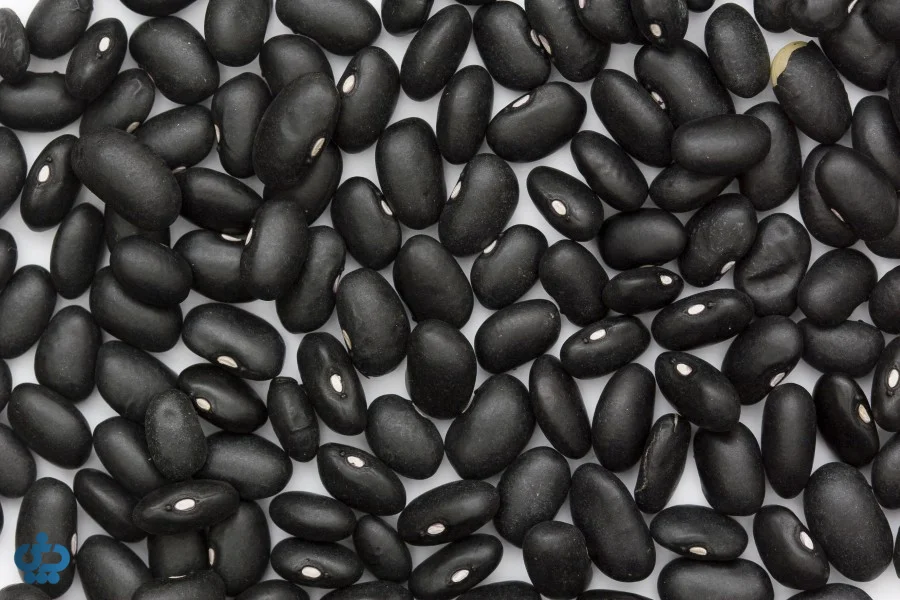لوبیای سیاه (Black Beans)؛ آنتیاکسیدان قوی برای ورزشکاران