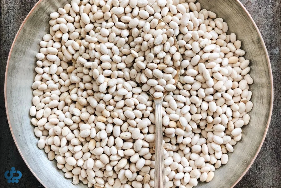 لوبیای سفید (Navy/White Beans)؛ معدن کلسیم و آهن