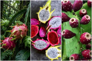 آشنایی با