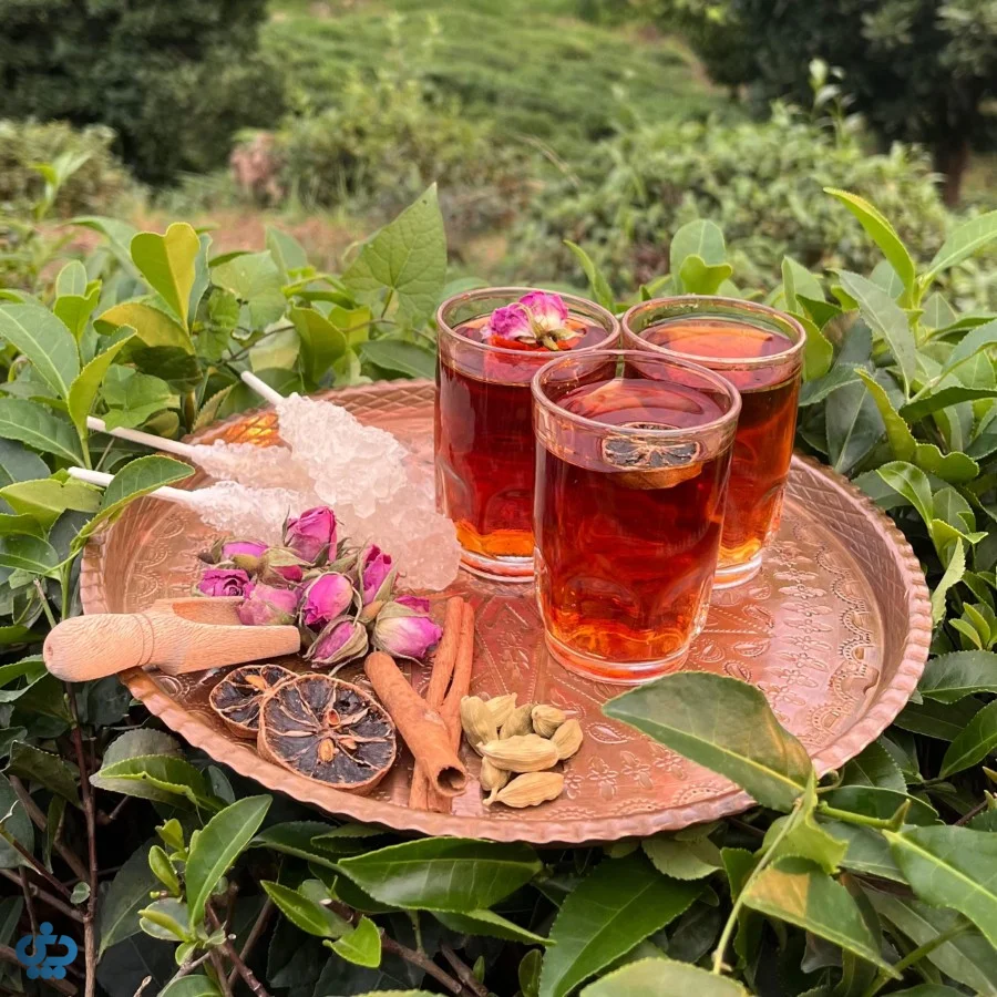 آداب نوشیدن و سرو چای در ایران