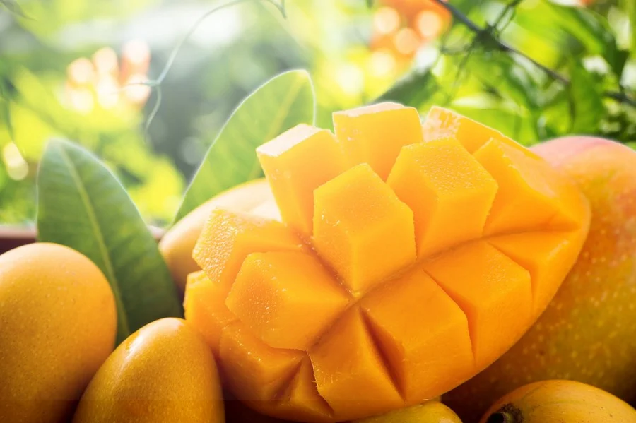 انبه چیست؟ خواص انبه، ارزش غذایی، طرز خوردن و تشخیص انبه رسیده